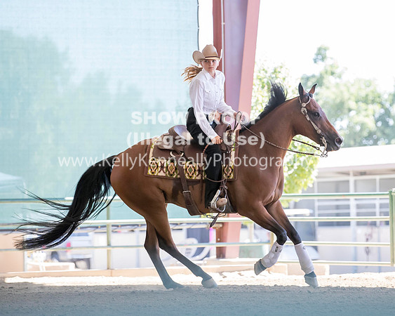 R317_Class306_309Reining_2549 copy