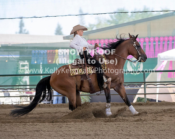R317_Class306_309Reining_2558 copy