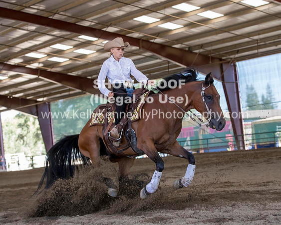 R317_Class306_309Reining_2564 copy