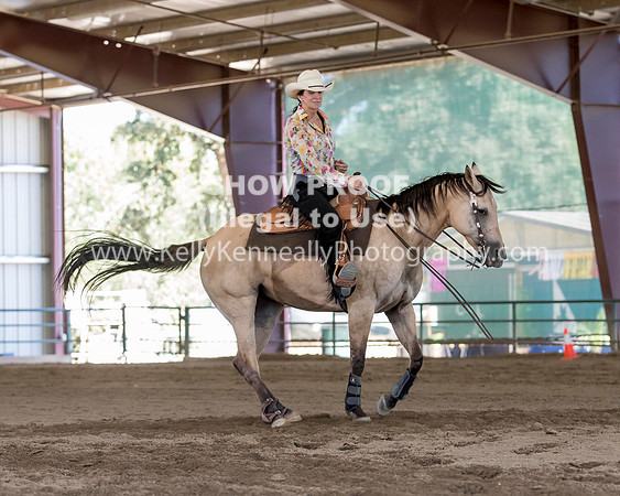 R317_Class306_309Reining_2576 copy