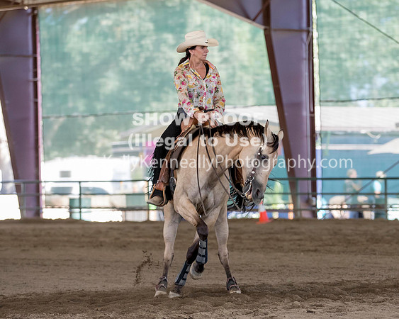 R317_Class306_309Reining_2581 copy