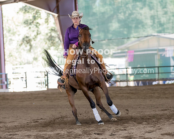 R317_Class306_309Reining_2612 copy
