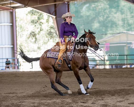R317_Class306_309Reining_2616 copy