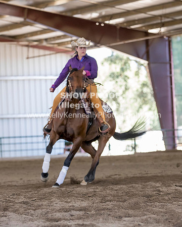 R317_Class306_309Reining_2632 copy