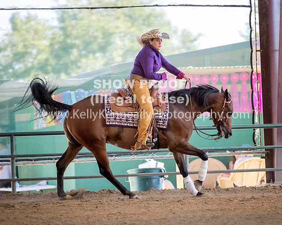 R317_Class306_309Reining_2636 copy