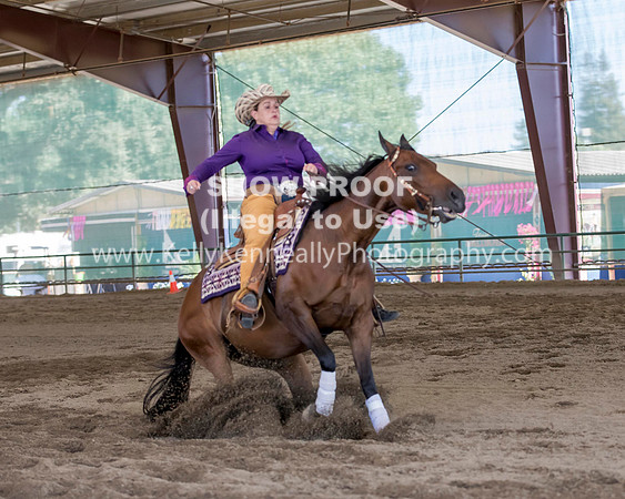 R317_Class306_309Reining_2651 copy