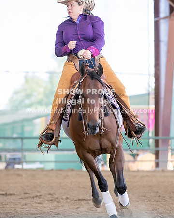 R317_Class306_309Reining_2650 copy