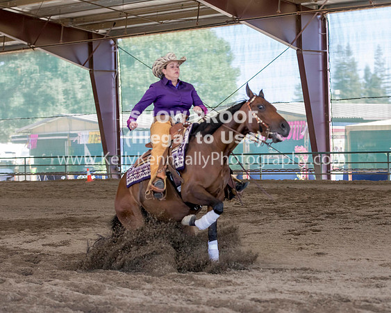 R317_Class306_309Reining_2652 copy