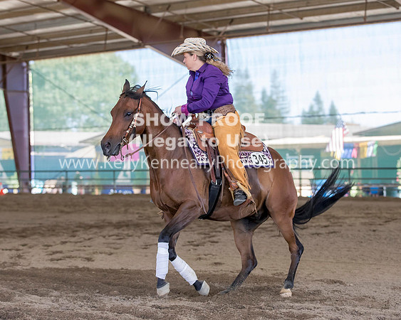 R317_Class306_309Reining_2663 copy