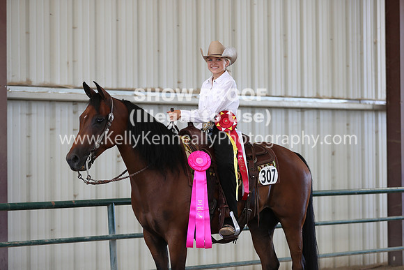 R317_Class306_309Reining_2715