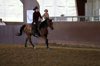 Ranch Horse Pleasure