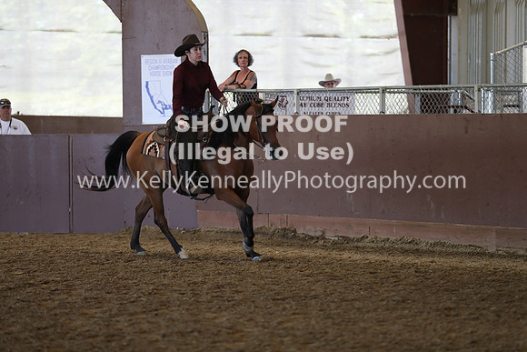 R317_RanchHorse_4328