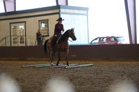 R317_RanchHorse_4330