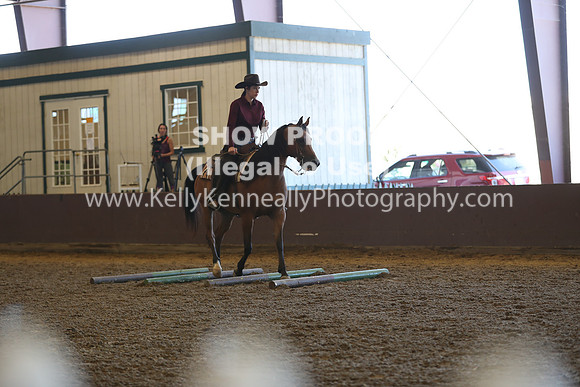 R317_RanchHorse_4330