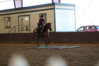R317_RanchHorse_4329
