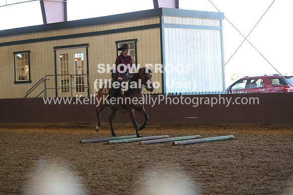 R317_RanchHorse_4329
