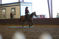 R317_RanchHorse_4331