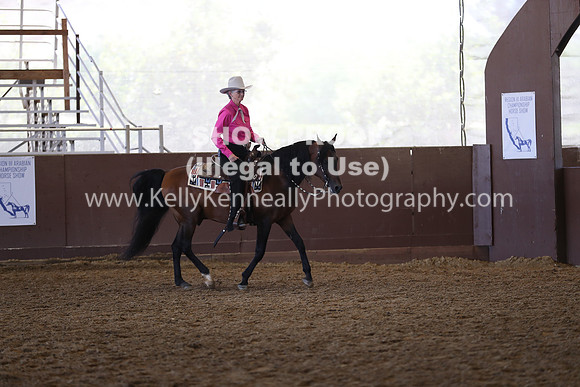 R317_RanchHorse_4333