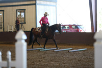 R317_RanchHorse_4335