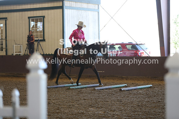 R317_RanchHorse_4335