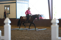 R317_RanchHorse_4336