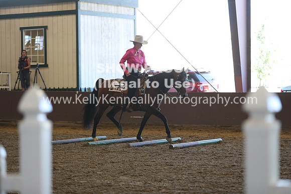 R317_RanchHorse_4336