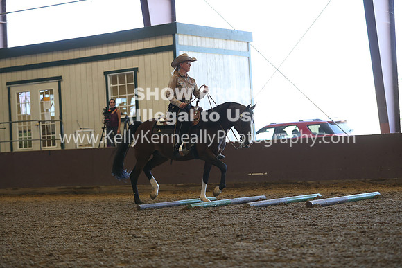 R317_RanchHorse_4339