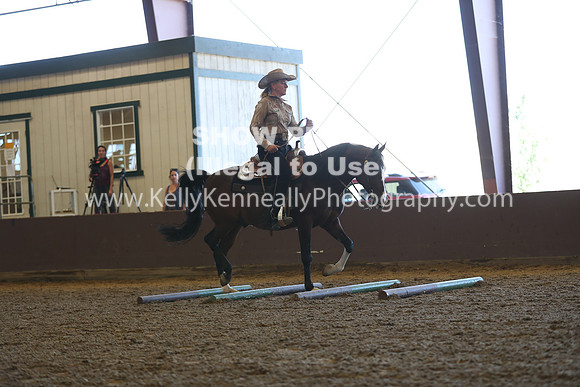 R317_RanchHorse_4340