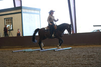 R317_RanchHorse_4341