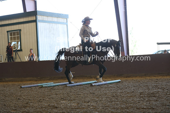 R317_RanchHorse_4341