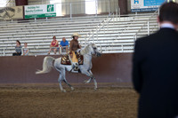 R317_RanchHorse_4342