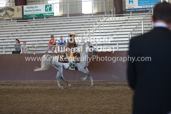 R317_RanchHorse_4342
