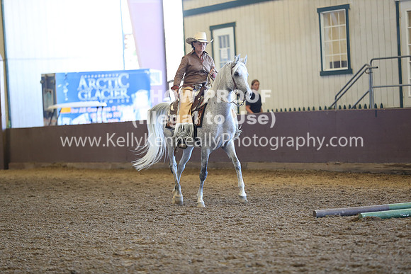 R317_RanchHorse_4344