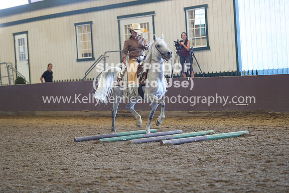 R317_RanchHorse_4345