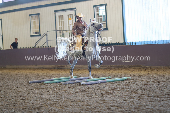 R317_RanchHorse_4346