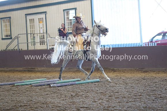 R317_RanchHorse_4347