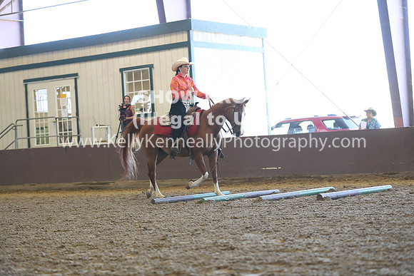 R317_RanchHorse_4349