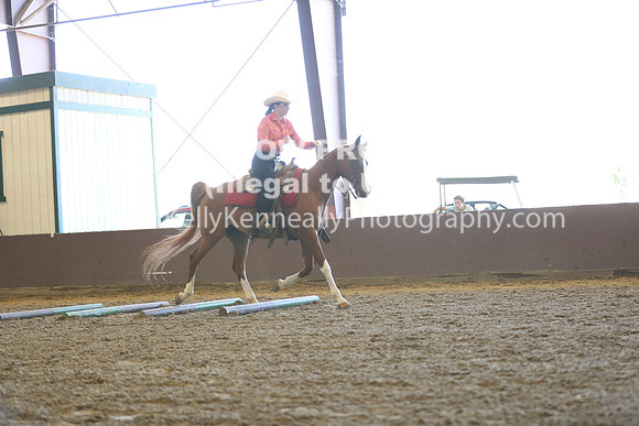R317_RanchHorse_4350