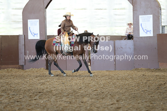 R317_RanchHorse_4356