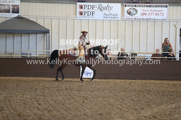R317_RanchHorse_4358