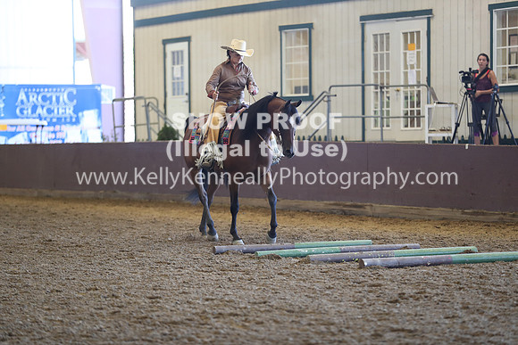 R317_RanchHorse_4359