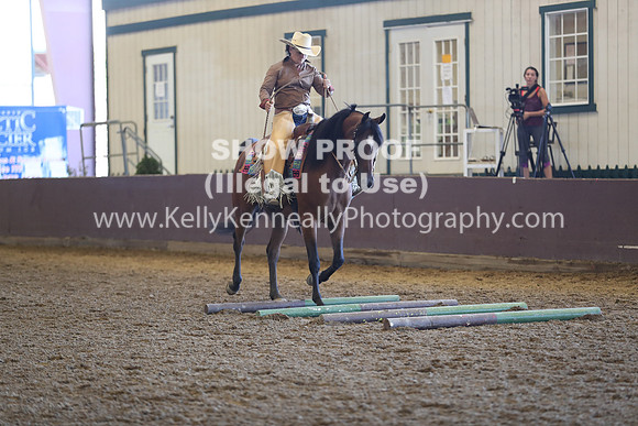 R317_RanchHorse_4360