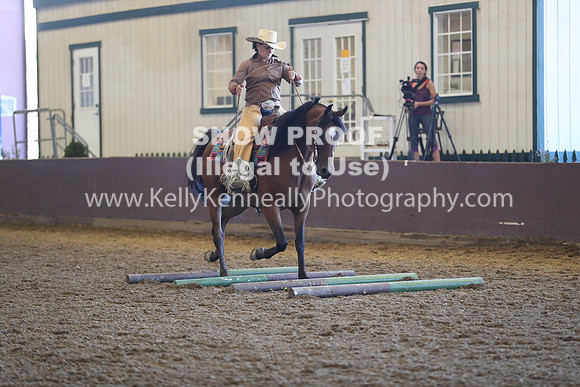 R317_RanchHorse_4361