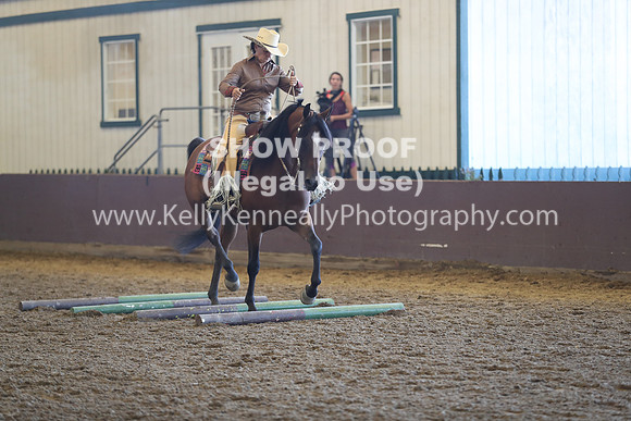 R317_RanchHorse_4362
