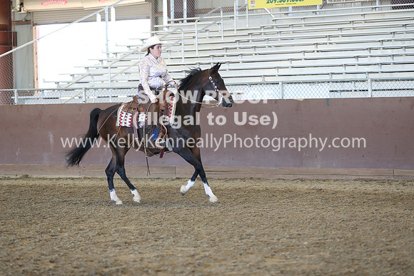 R317_RanchHorse_4364