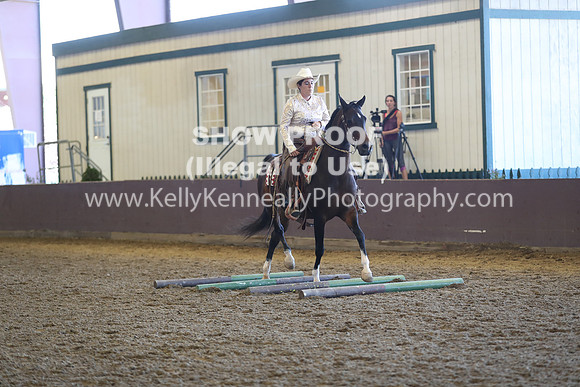 R317_RanchHorse_4367