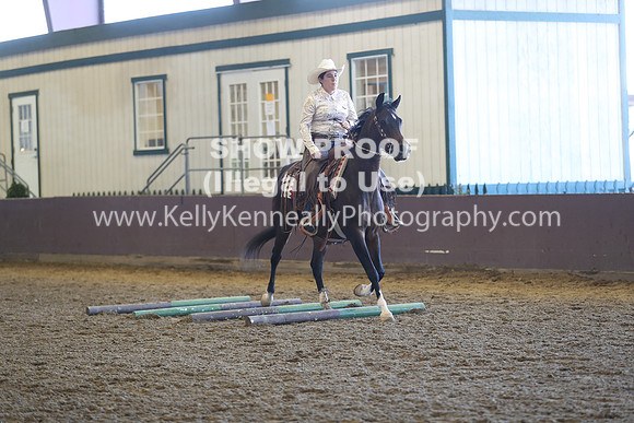 R317_RanchHorse_4368