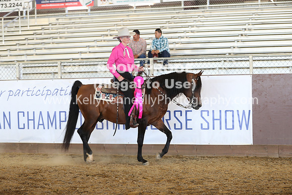 R317_RanchHorse_4380