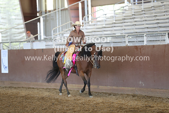 R317_RanchHorse_4390