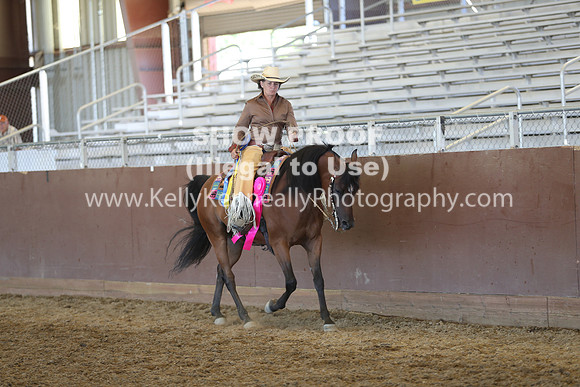 R317_RanchHorse_4391